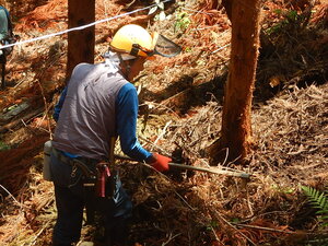 DSCN8189.JPG