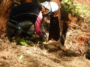 DSCN8197.JPG