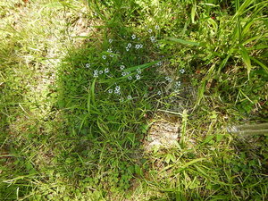DSCN8211.JPG