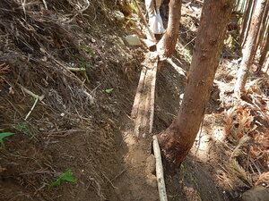 DSCN8215.JPG