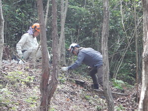 DSCN8241.JPG