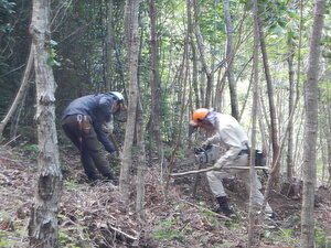 DSCN8251.JPG