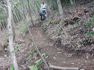 DSCN8254.JPG