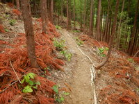 DSCN9003.JPG