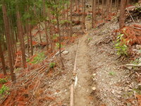 DSCN9004.JPG