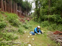 DSCN9006.JPG
