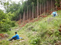 DSCN9007.JPG