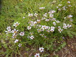 DSCN9017.JPG