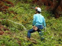 DSCN9026.JPG