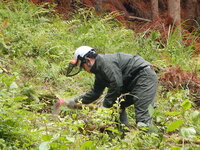 DSCN9028.JPG