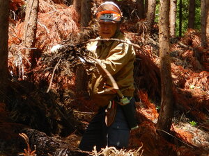 DSCN9071.JPG