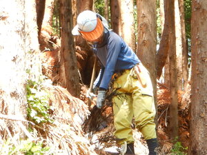 DSCN9074.JPG