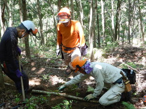DSCN9120.JPG