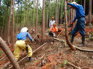 DSCN9167.JPG