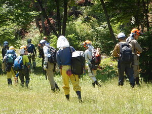 DSCN9060.JPG