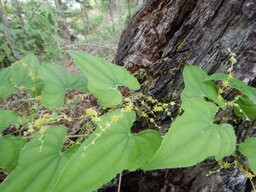 DSCN2104.JPG
