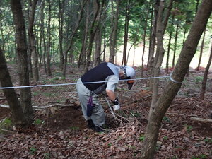 DSCN8245.JPG