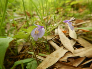 DSCN7537.JPG