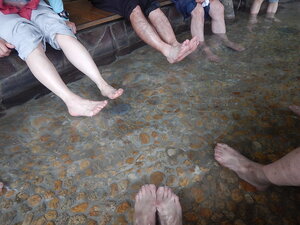 DSCN8789.JPG