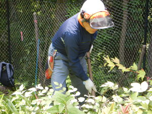 DSCN9552.JPG