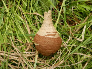 DSCN9587.JPG