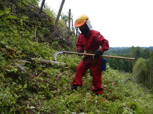 DSCN0017.JPG