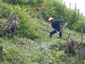 DSCN0018.JPG