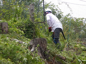 DSCN0023.JPG