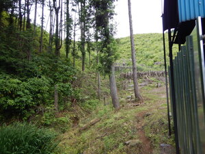 DSCN0025.JPG