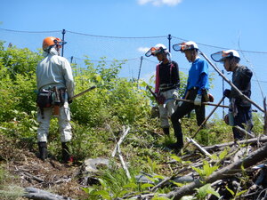 DSCN0089.JPG