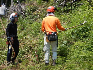 DSCN0093.JPG