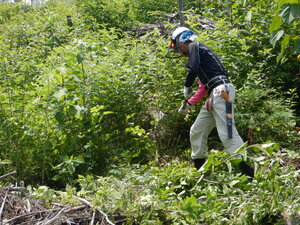 DSCN0132.JPG