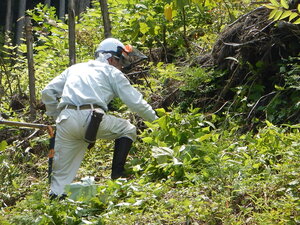 DSCN0148.JPG