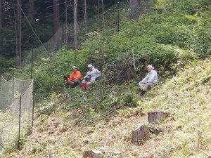 DSCN0151.JPG