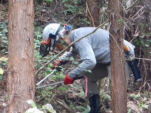 DSCN0209.JPG