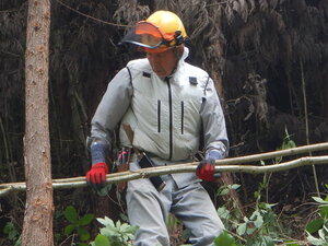 DSCN0278.JPG