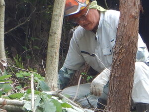 DSCN0285.JPG