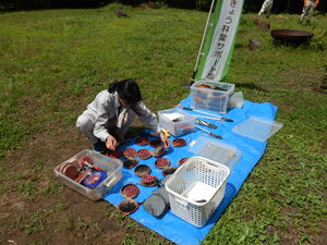 DSCN0330.JPG