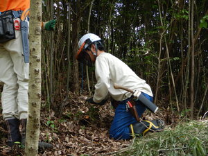 DSCN0339.JPG