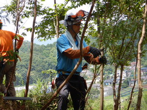 DSCN0343.JPG