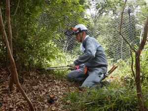 DSCN0345.JPG