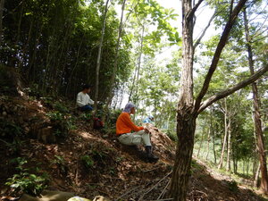 DSCN0347.JPG