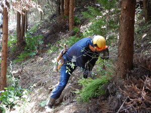 DSCN0351.JPG