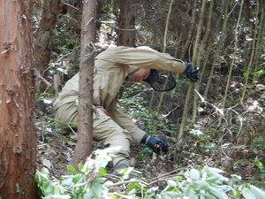 DSCN0365.JPG
