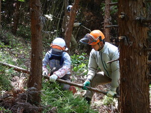 DSCN0369.JPG