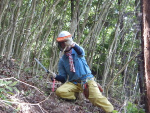 DSCN0385.JPG