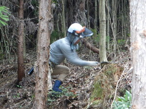 DSCN0403.JPG
