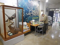 DSCN8265.JPG