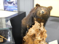 DSCN8281.JPG