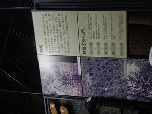 DSCN8282.JPG
